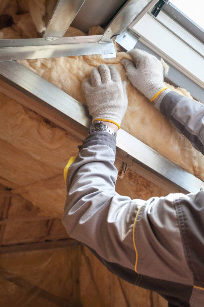 Types of Insulation We Offer in Georgetown, CA