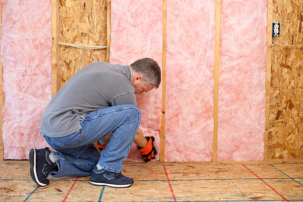Best Residential Insulation in Georgetown, CA