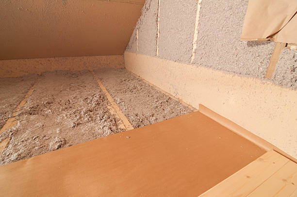 Best Eco-Friendly Insulation in Georgetown, CA