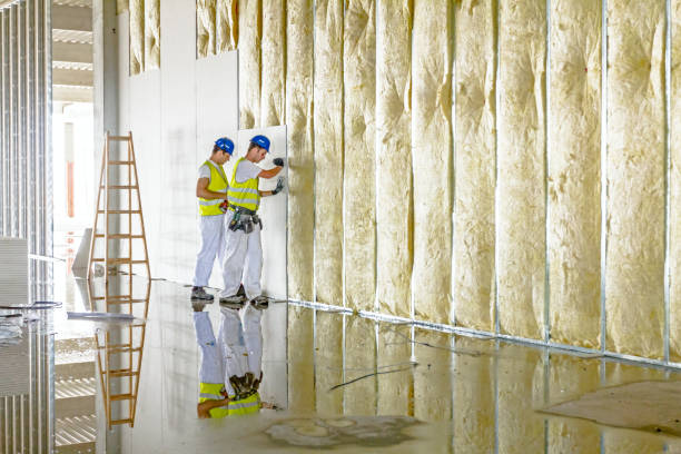 Best Specialized Insulation Services in Georgetown, CA